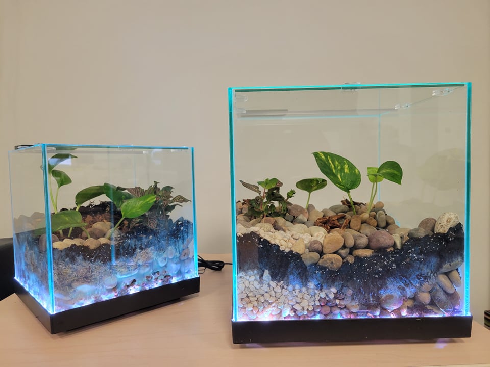 Nature by Design Terrarium