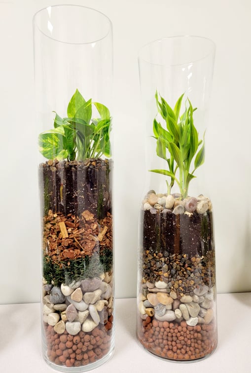 Open Terrariums in Glass Containers