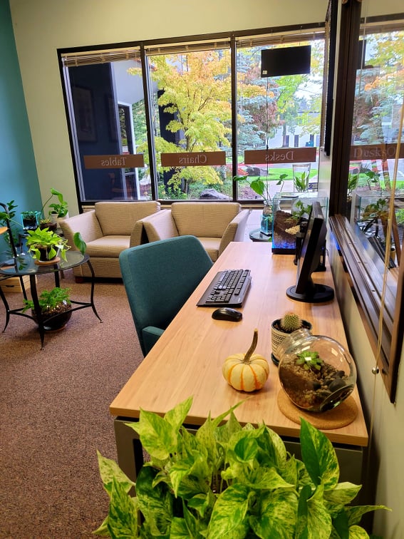 House Plants in Office Space