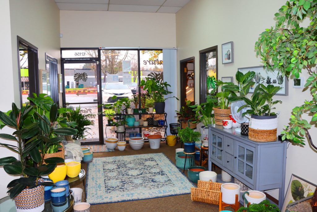 Nature by Design Plant Shop Entry Way