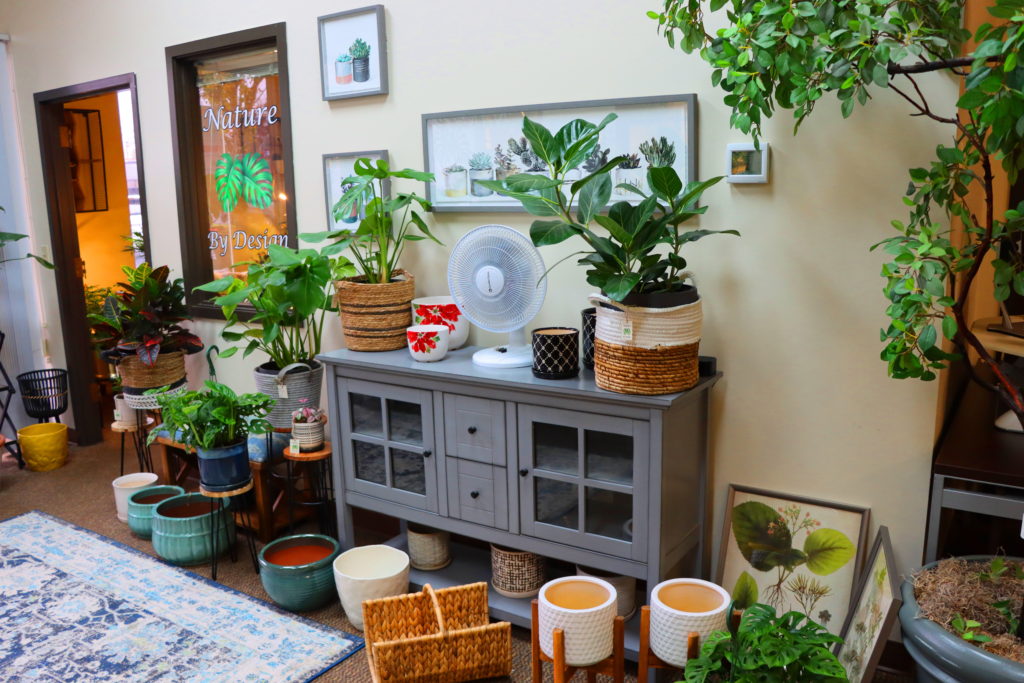 House Plant Room Ideas