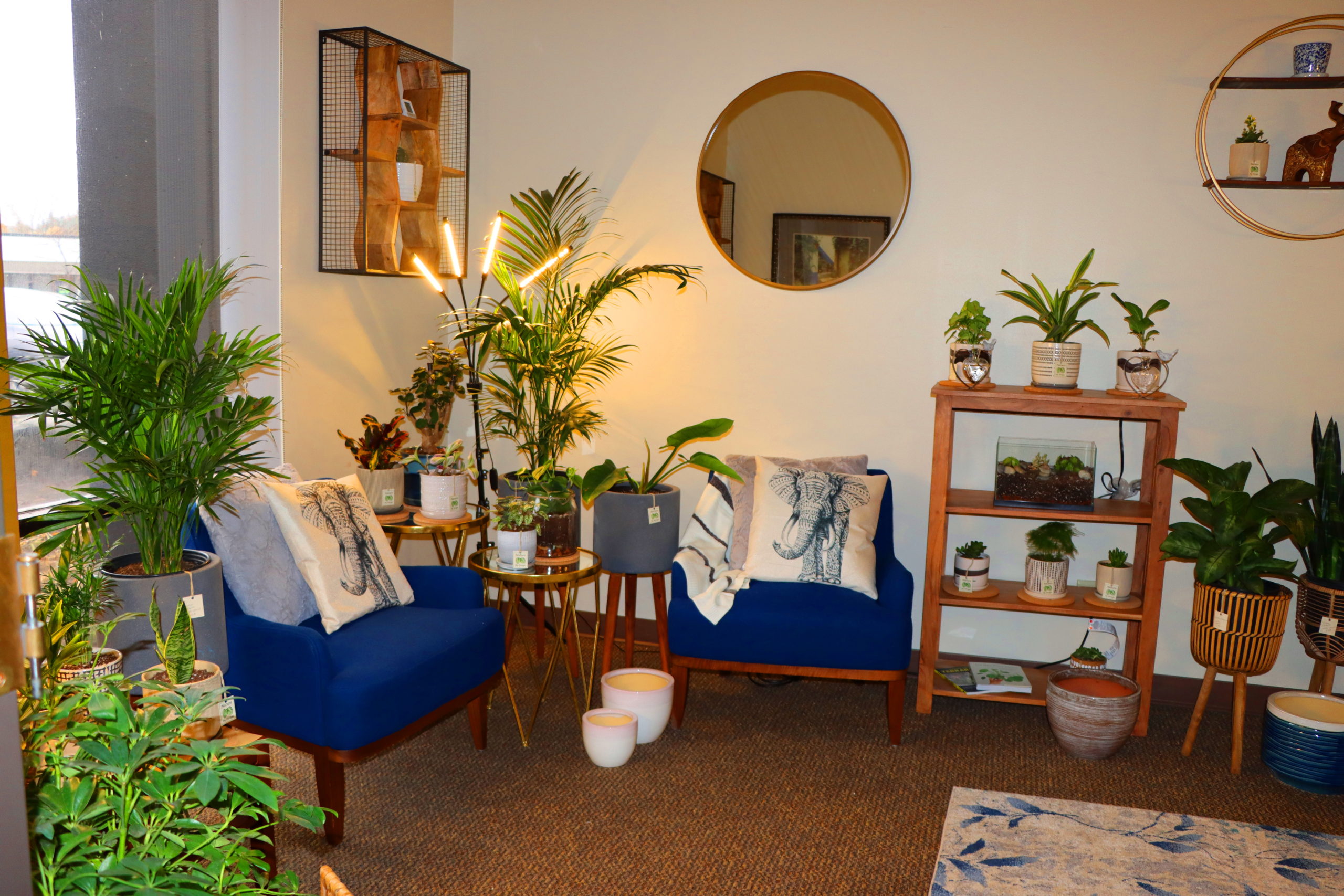 House Plant Showcase Room