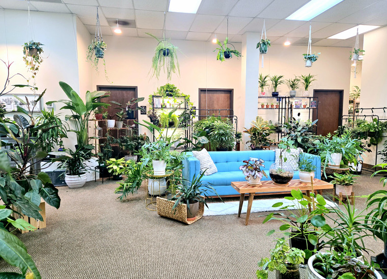 Nature by Design Plants - Showcase Room with Tropical Plants